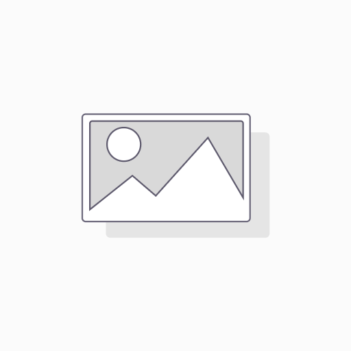 Imprimante Ticket Thermique 80 mm